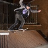 Mark Nardelli New York City