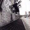 Steve Rodriguez, Brooklyn